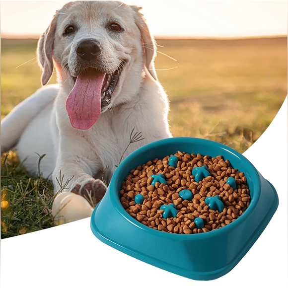 Smart Paws Feeding Bowl Practical Multifunctional Portable for cats and dogs. - Picture 4 of 4